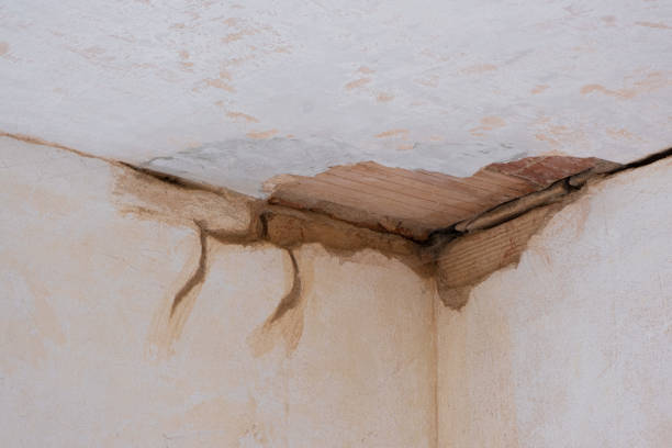 Best Ceiling water damage repair  in Kemp, TX