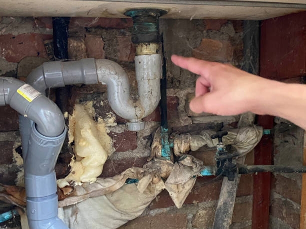Best Local water damage restoration  in Kemp, TX