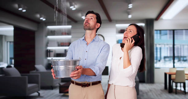 Best Water damage restoration experts  in Kemp, TX